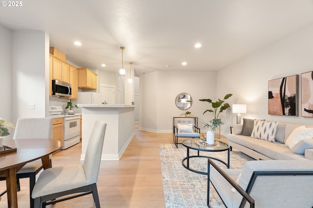 living room with light hardwood / wood-style floors