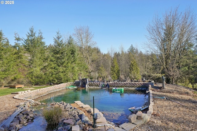 view of swimming pool featuring a water view