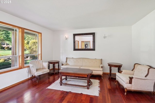 living room featuring dark wood-type flooring