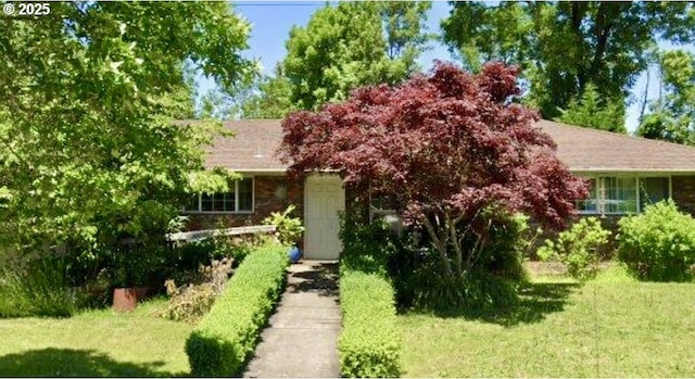obstructed view of property with a front yard