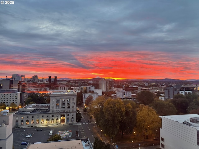 property's view of city