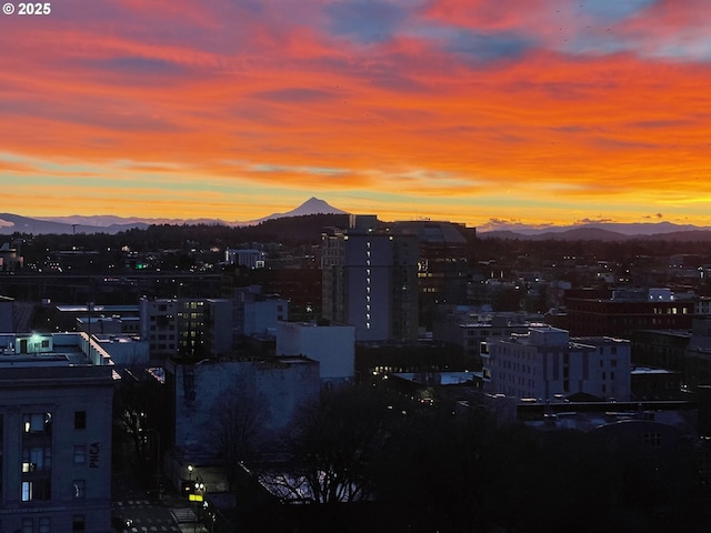 property's view of city featuring a mountain view