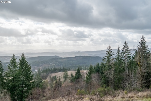 mountain view featuring a forest view