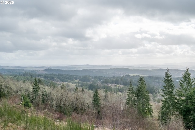 mountain view with a wooded view