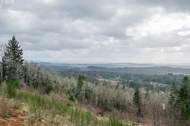 mountain view with a wooded view