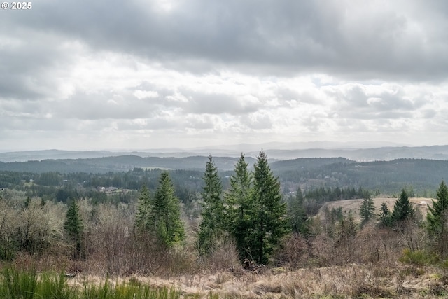 mountain view with a view of trees