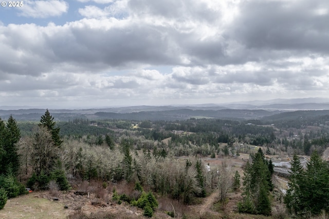 mountain view featuring a forest