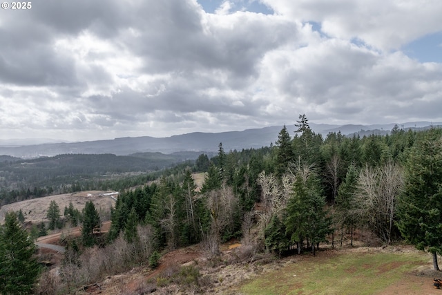 view of mountain feature featuring a view of trees