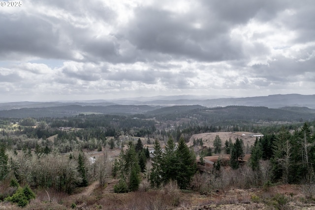 view of mountain feature with a forest view