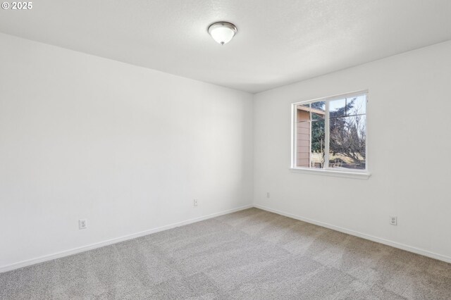 empty room featuring carpet floors