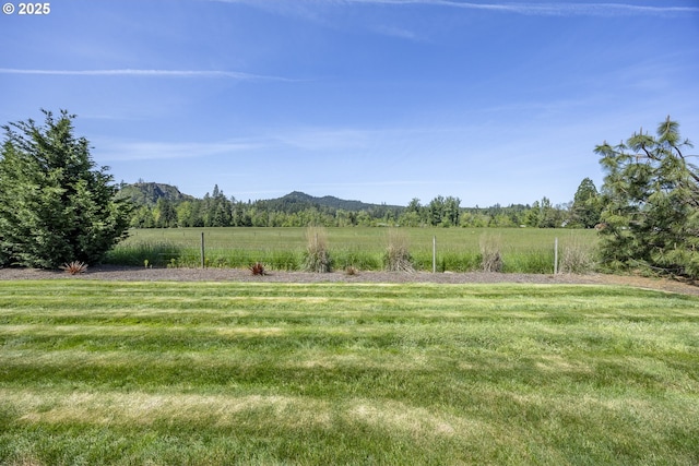 view of yard featuring a mountain view and a rural view