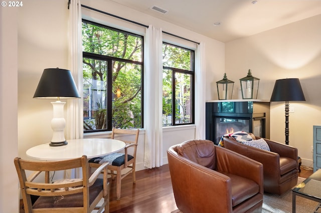 living area featuring dark hardwood / wood-style flooring