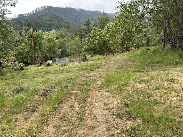 0 Hill Dr, Canyonville, OR 97417