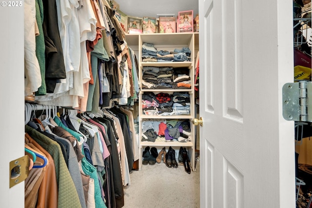 view of walk in closet