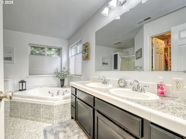 bathroom featuring vanity and plus walk in shower