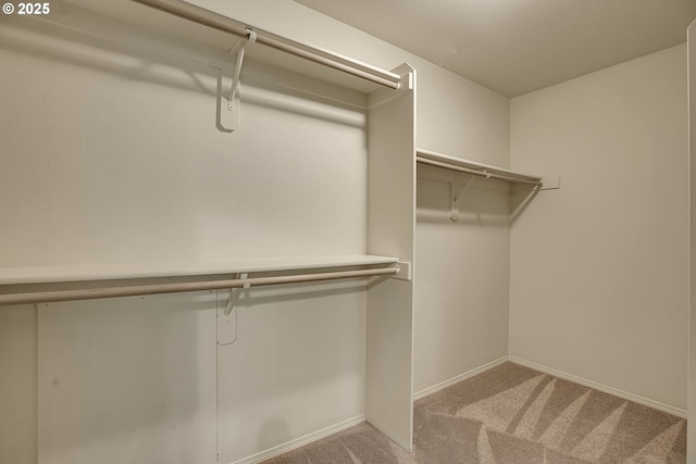4698 Black Forest Ct, Lake Oswego, OR 97035 - spacious closet featuring carpet