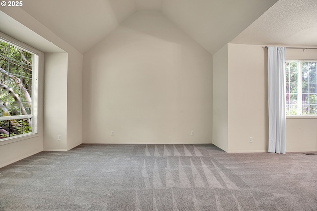 4698 Black Forest Ct, Lake Oswego, OR 97035 - additional living space featuring carpet floors, healthy amount of natural light, vaulted ceiling, and baseboards