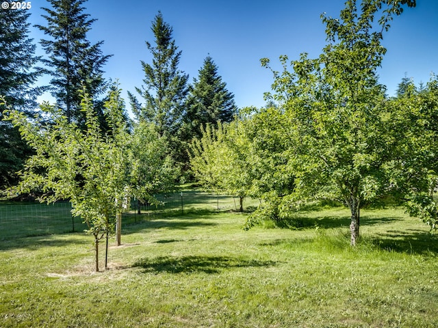 118 Marian Ln, Ariel, WA 98603 - view of yard