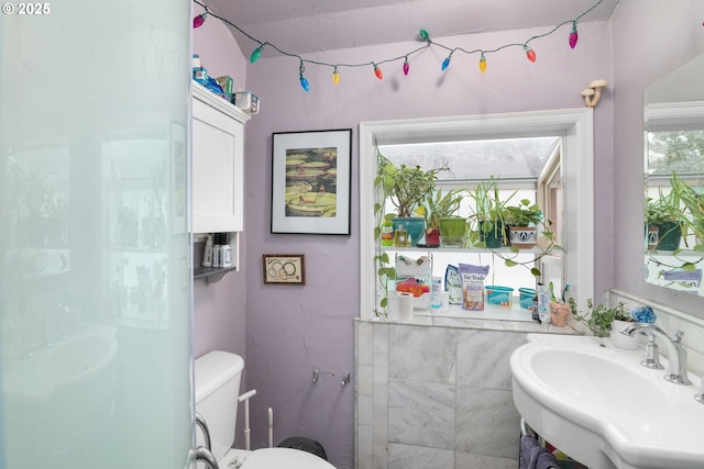 bathroom with a sink and toilet