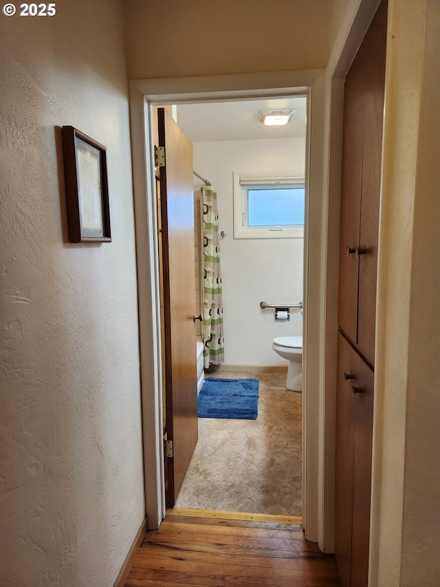 corridor featuring hardwood / wood-style flooring