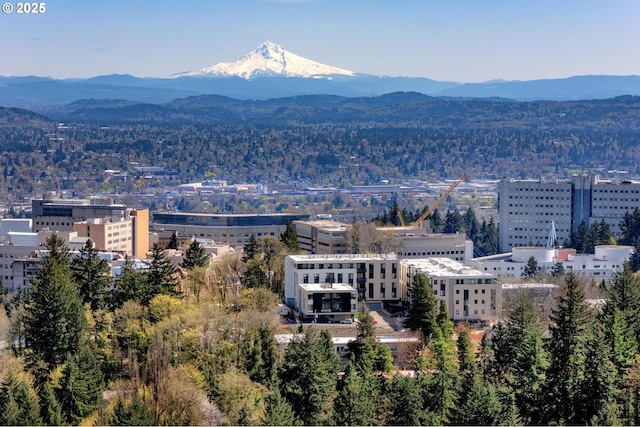 2631 SW Sherwood Dr, Portland, OR 97201 - view of city featuring a mountain view