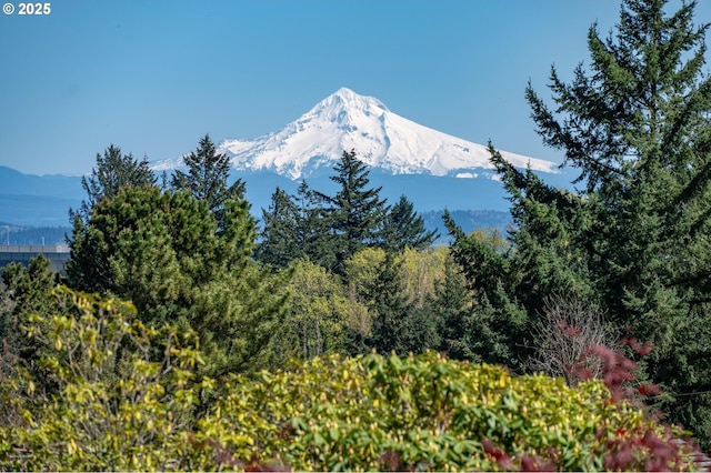 2631 SW Sherwood Dr, Portland, OR 97201 - property view of mountains