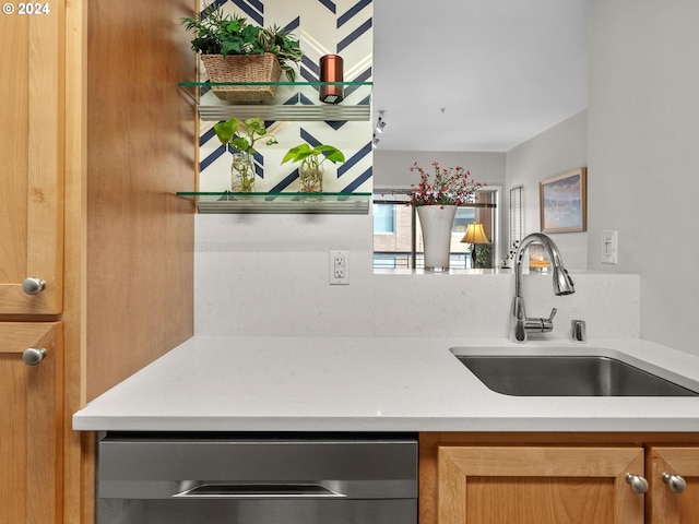 kitchen with sink and stainless steel dishwasher