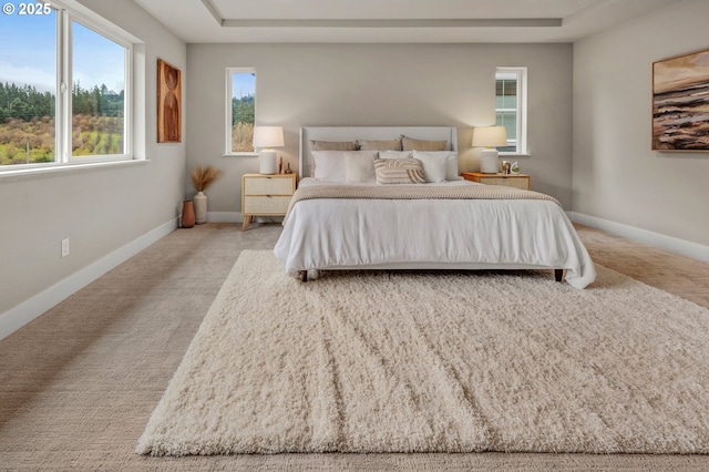 bedroom with a raised ceiling, baseboards, and carpet