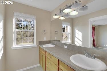 bathroom featuring plenty of natural light and vanity