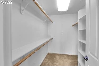 spacious closet featuring carpet