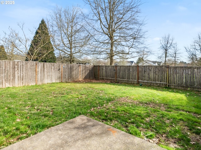 view of yard with a patio area and a fenced backyard