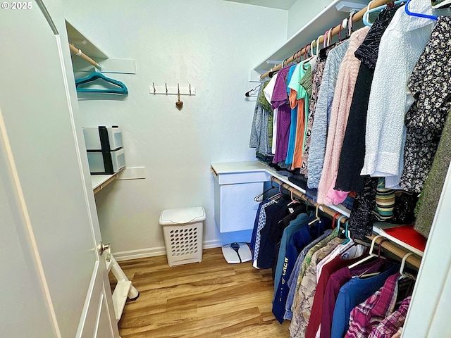 spacious closet featuring wood finished floors