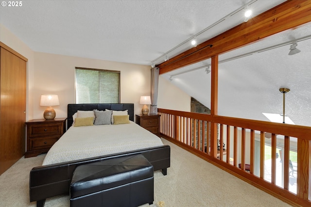 71848 Northshore Dr, Birkenfeld, OR 97016 - bedroom with carpet floors, a textured ceiling, rail lighting, and multiple windows