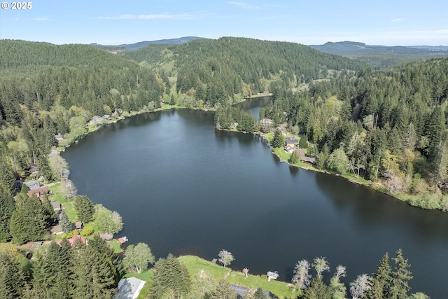 71848 Northshore Dr, Birkenfeld, OR 97016 - birds eye view of property featuring a water and mountain view and a view of trees