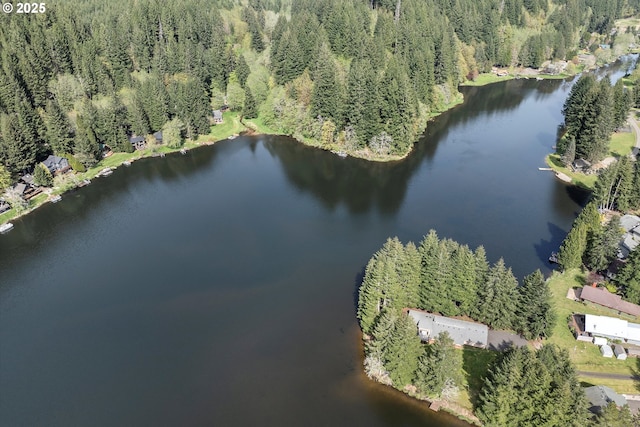 71848 Northshore Dr, Birkenfeld, OR 97016 - drone / aerial view with a water view and a view of trees