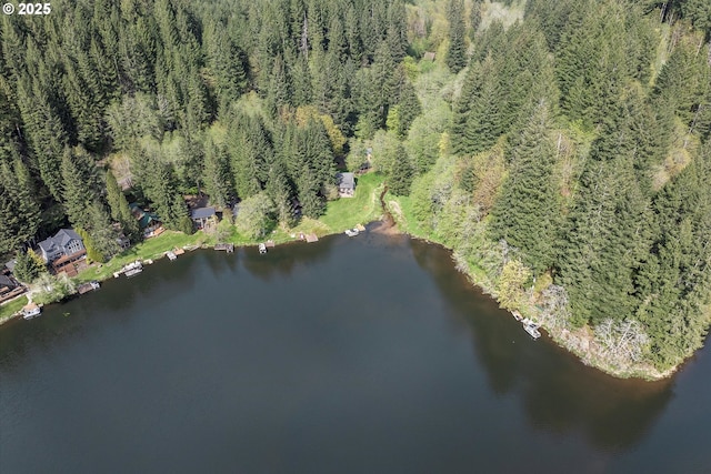 71848 Northshore Dr, Birkenfeld, OR 97016 - bird's eye view featuring a water view and a wooded view