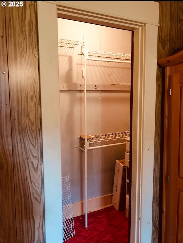 view of closet