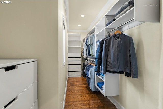 walk in closet featuring wood finished floors
