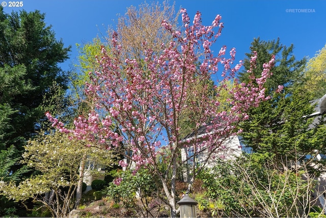 18462 Anduin Ter, Lake Oswego, OR 97034 - view of side of home