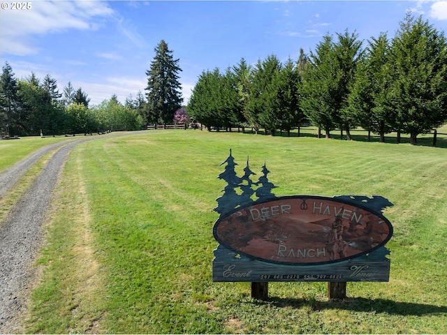 view of grassy yard