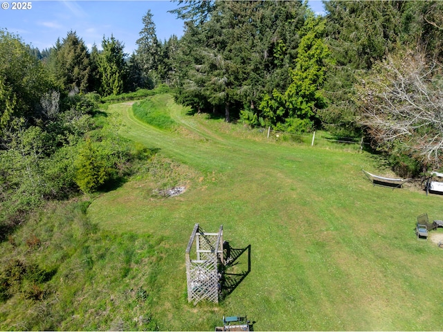 drone / aerial view
