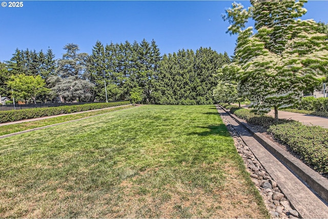 390 NW 116th Ave Unit 103, Portland, OR 97229 - view of green lawn