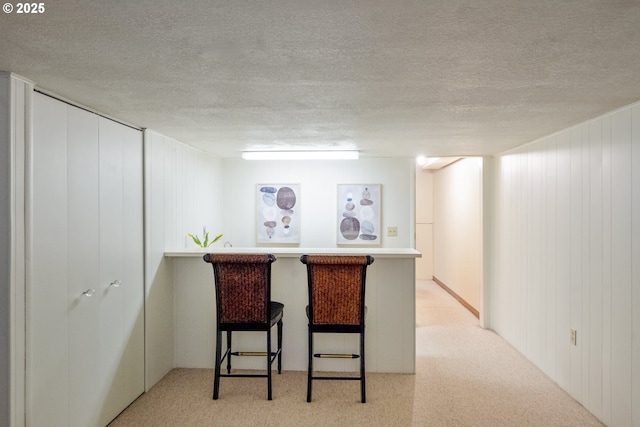 bar featuring light carpet, a textured ceiling, and wooden walls