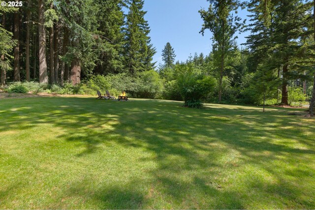 25701 S Morgan Rd, Estacada, OR 97023 - view of green lawn