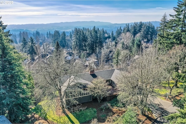 bird's eye view featuring a mountain view