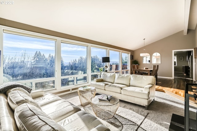 living room featuring a wealth of natural light, hardwood / wood-style floors, and lofted ceiling with beams