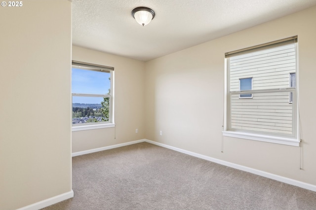 unfurnished room with baseboards, a textured ceiling, and carpet