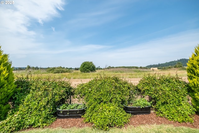 4507 Sagecrest Dr, Albany, OR 97322 - view of yard with a view of rural / pastoral area and a garden