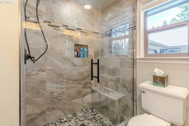 bathroom featuring toilet and a stall shower