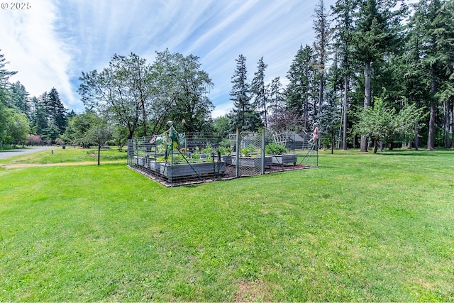 view of yard with a garden